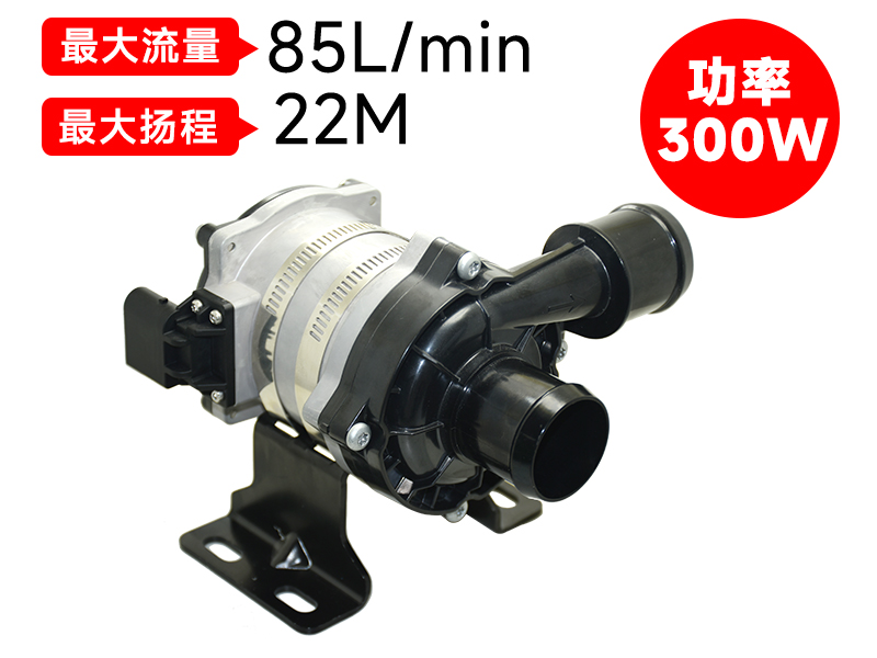 P7509汽车电子泵(300W)