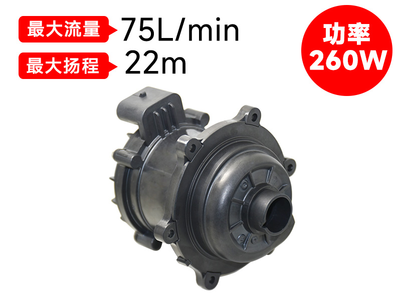 P8018汽车电子泵(24v)