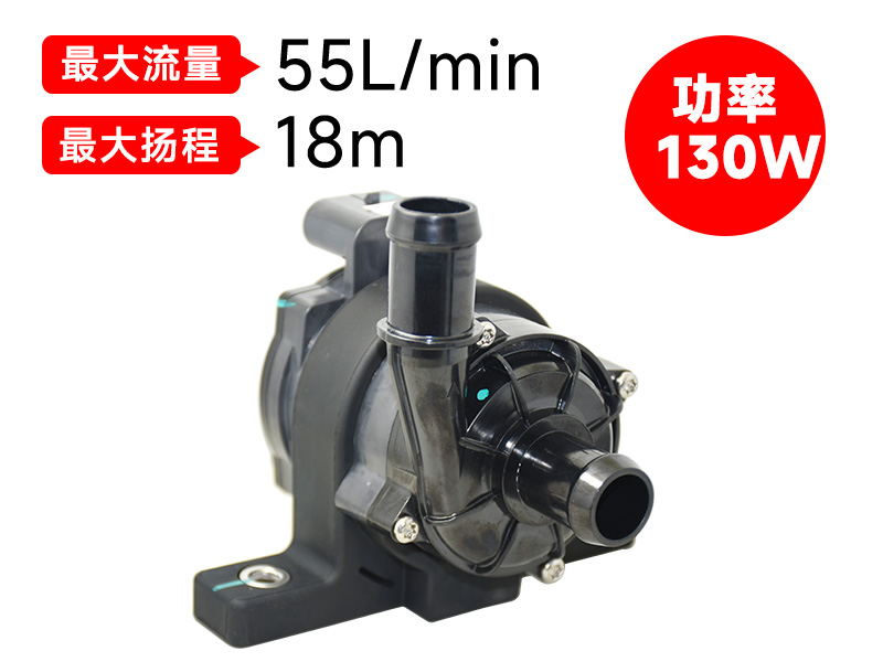 P6220汽车电子泵(12V)