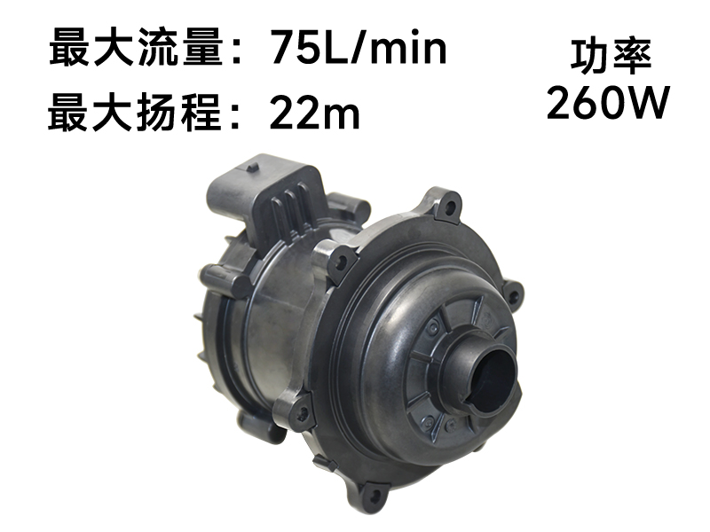 P8018汽车电子泵(24v)