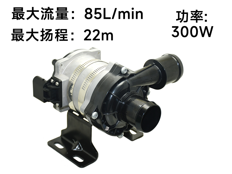 P7509汽车电子泵(24V)