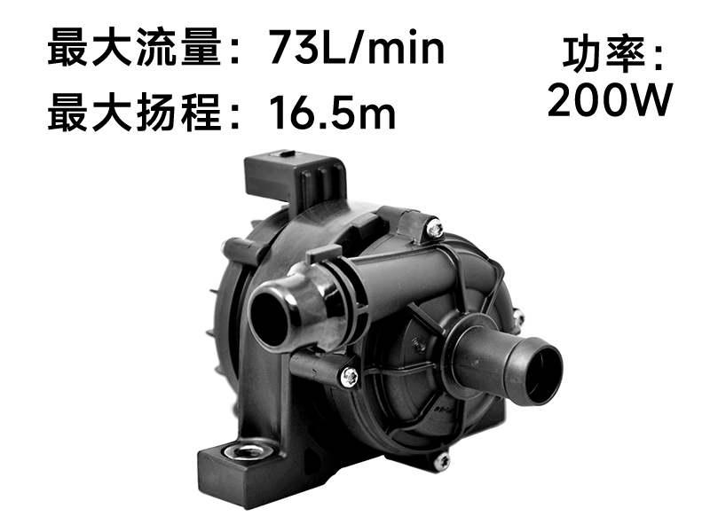 P8018汽车水泵(12v)
