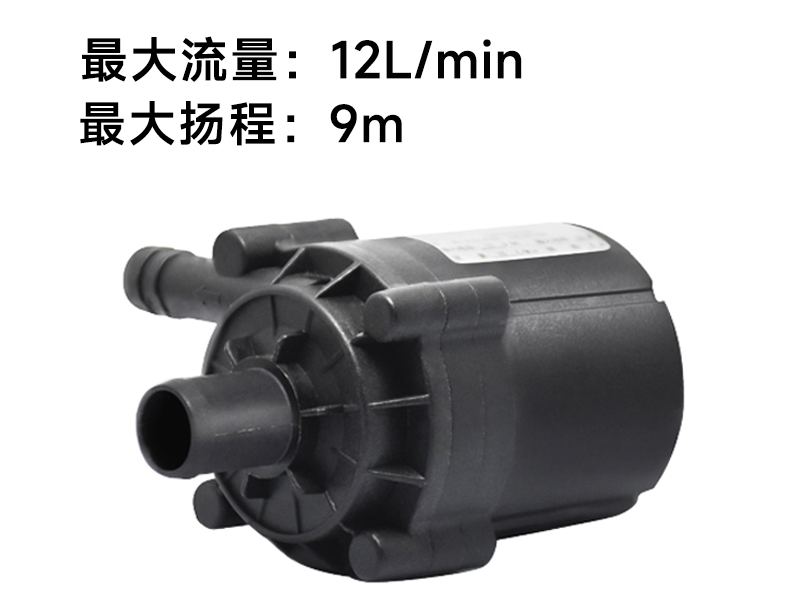 P4514医疗美容泵(12v/24v)