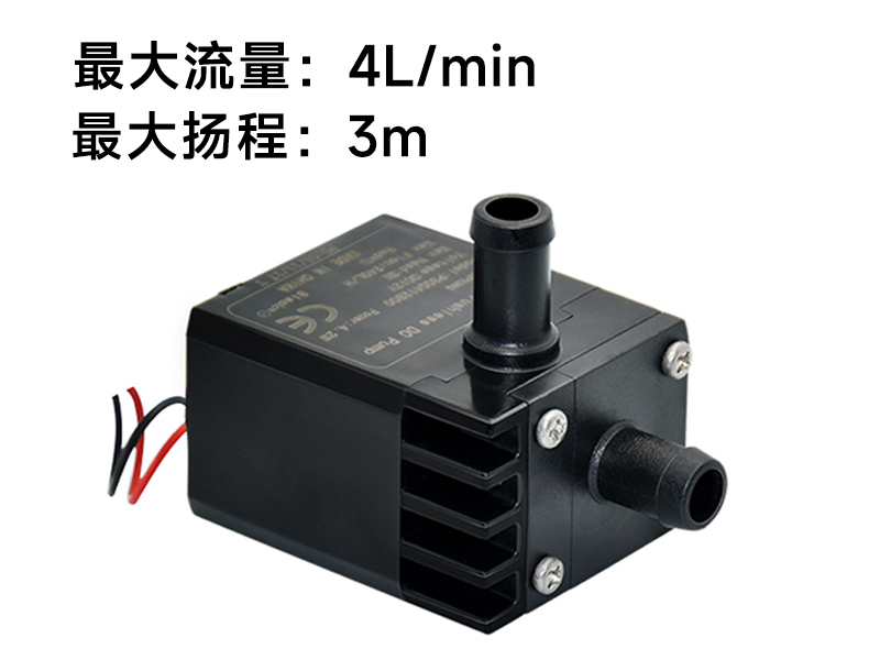 P3004医疗美容泵(12v)